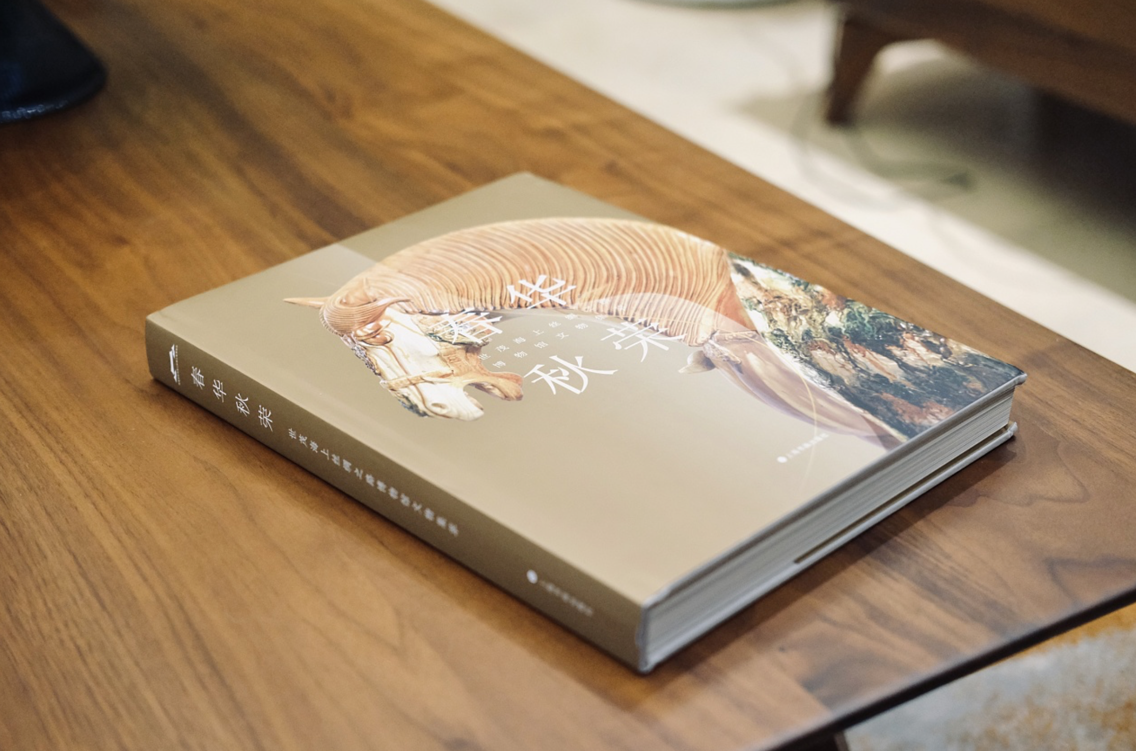 傳統(tǒng)元素宣傳畫(huà)冊(cè)設(shè)計(jì)